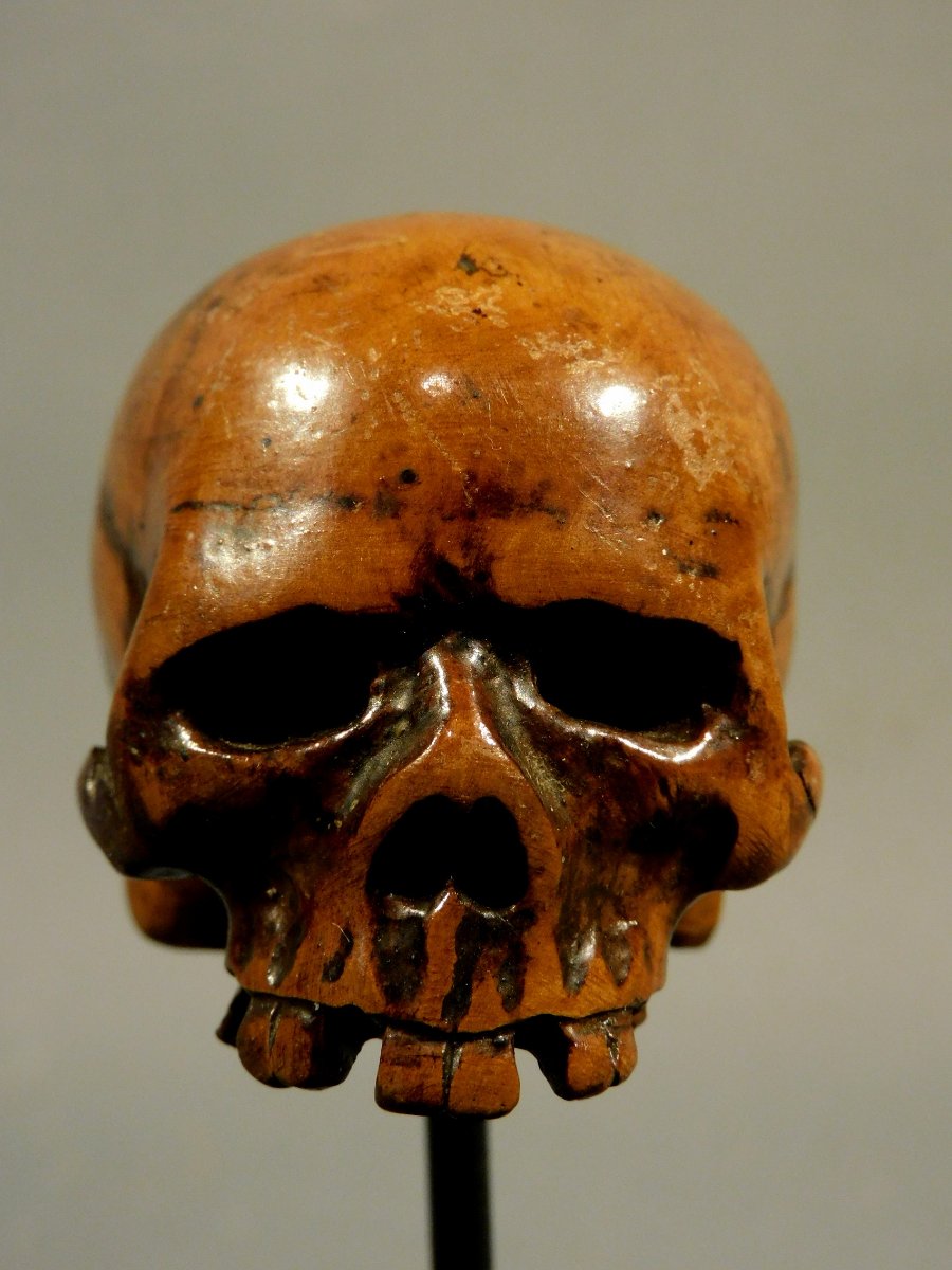 Memento Mori Carved Wooden Skull -photo-2