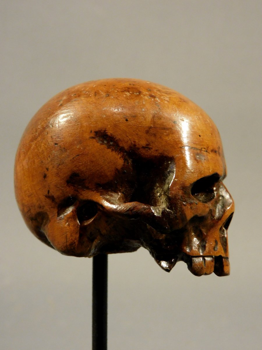 Memento Mori Carved Wooden Skull -photo-3