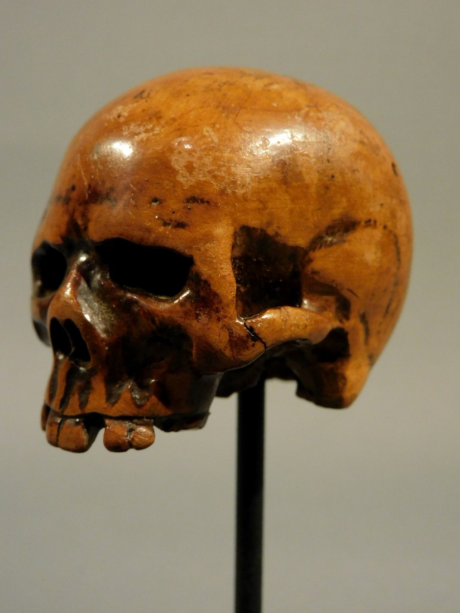 Memento Mori Carved Wooden Skull -photo-1