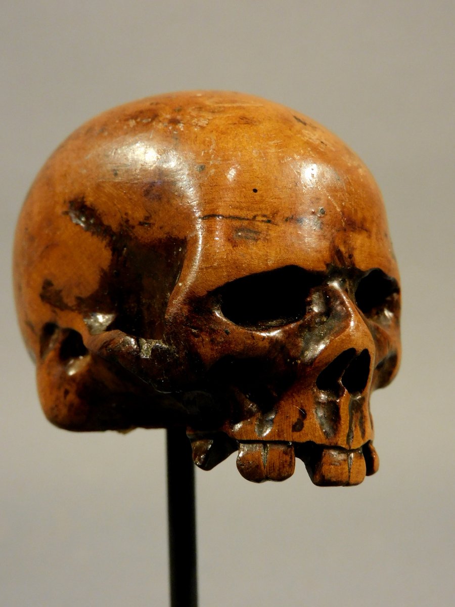 Memento Mori Carved Wooden Skull 