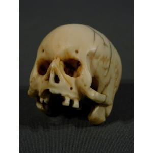 Memento Mori  crane ivoire 17eme - 18eme si;ecle   