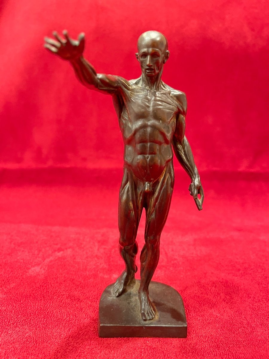 F. BARBEDIENNE - Bronze, L’ Écorché -photo-3