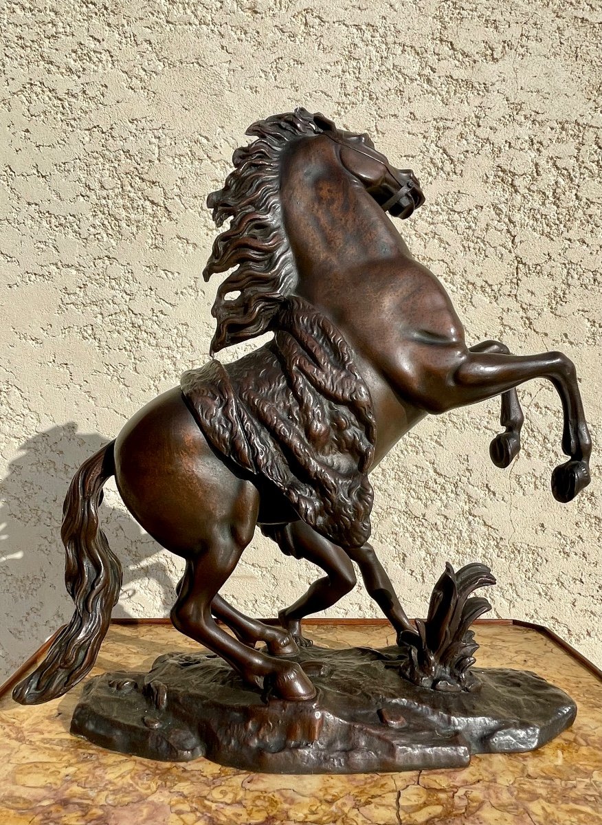 COUSTOU - Sculpture en Bronze XIX / Cheval de Marly -photo-4