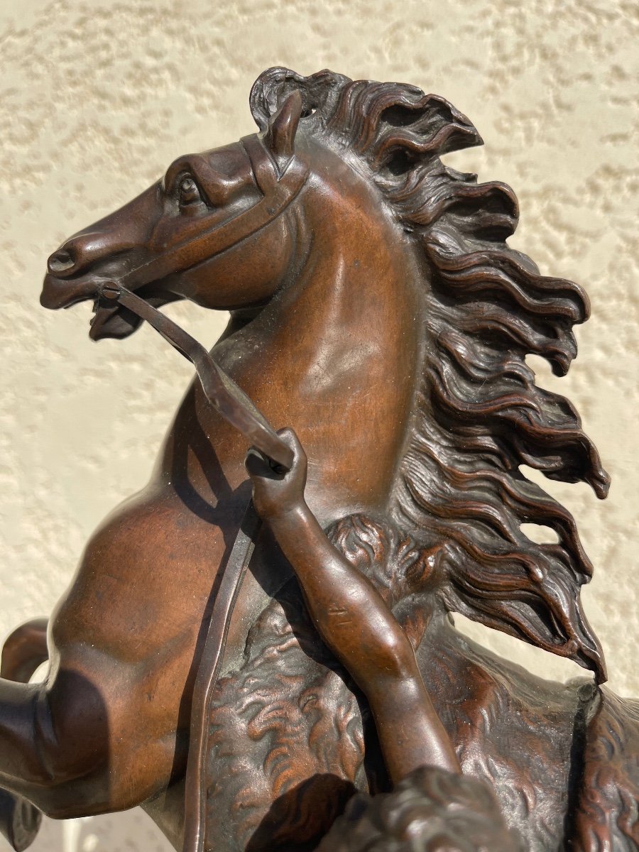 COUSTOU - Sculpture en Bronze XIX / Cheval de Marly -photo-1