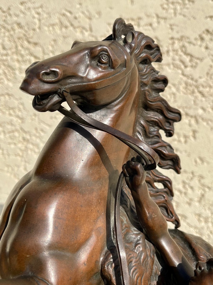 COUSTOU - Sculpture en Bronze XIX / Cheval de Marly -photo-5