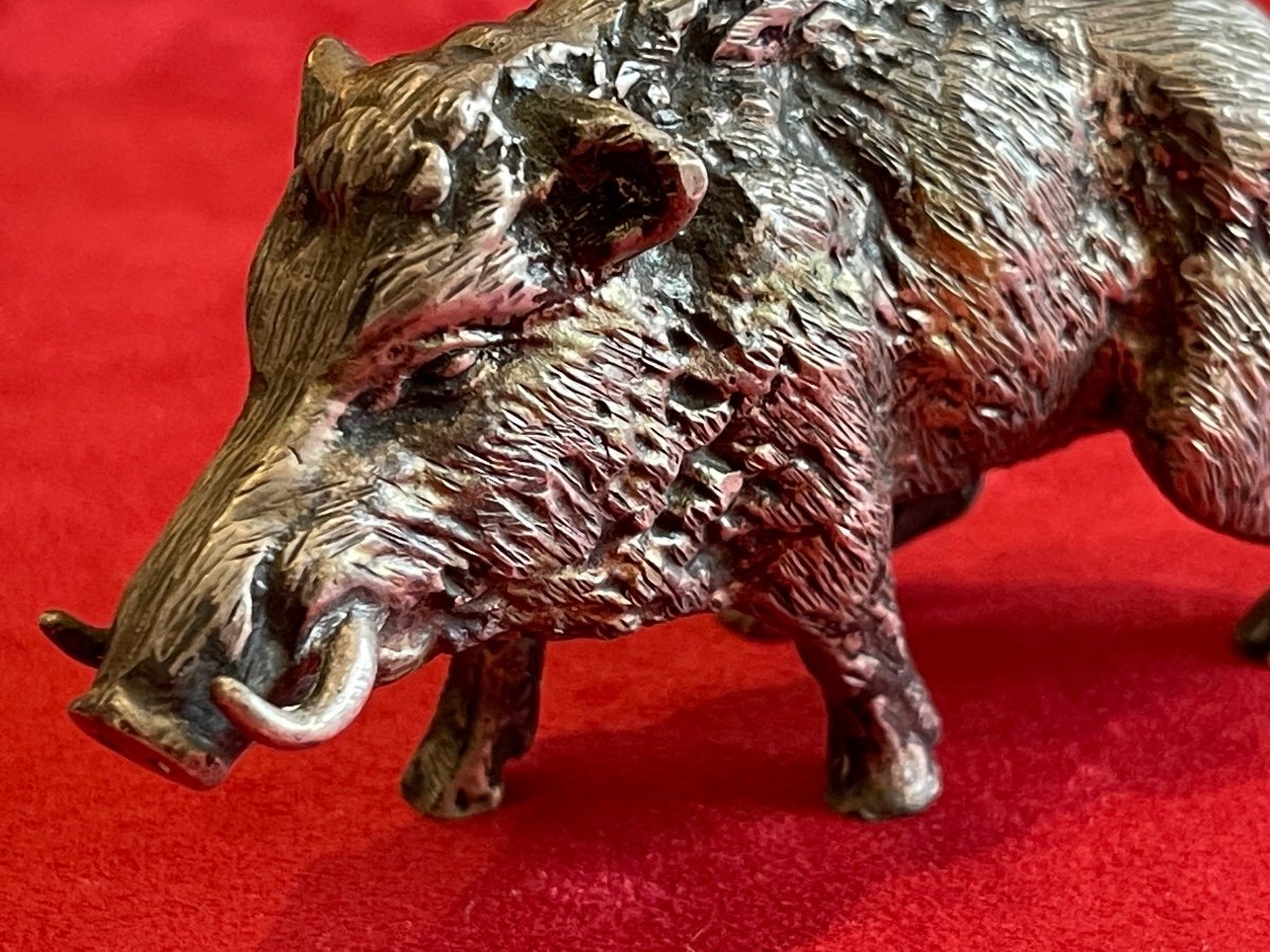 Vienna Bronze, Boar -photo-2