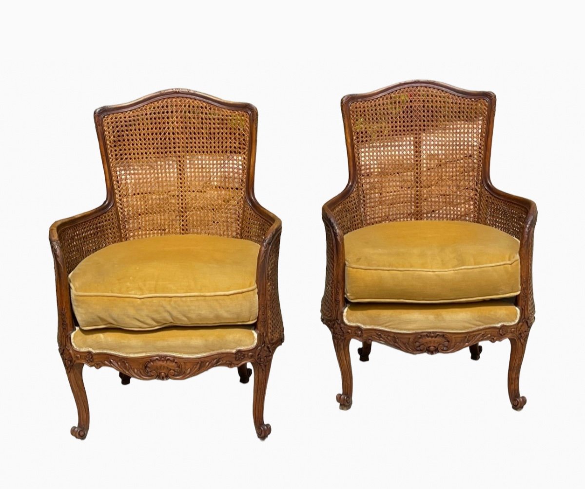 Pair Of Louis XV Style Armchairs / Pair Of Louis XV Style Bergeres