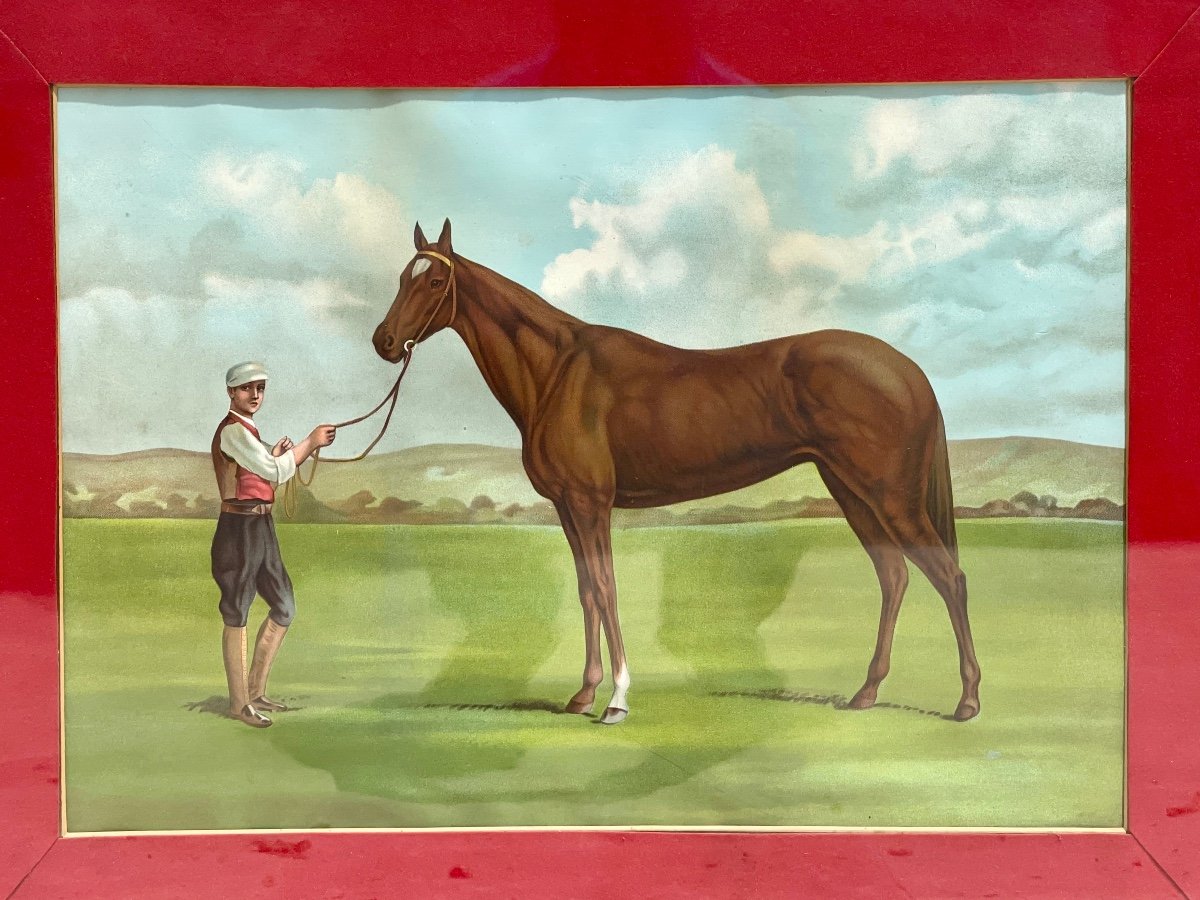 Apollinaris - Engraving, Jokey And His Horse-photo-2