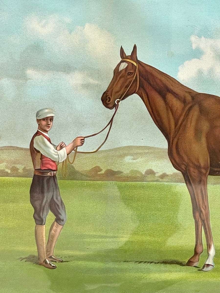 Apollinaris - Engraving, Jokey And His Horse-photo-3