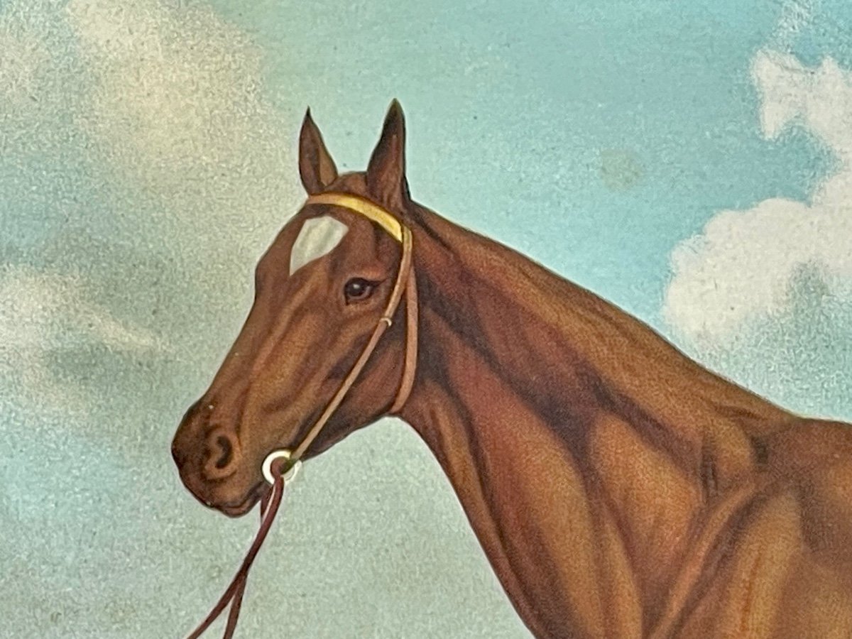 Apollinaris - Engraving, Jokey And His Horse-photo-4