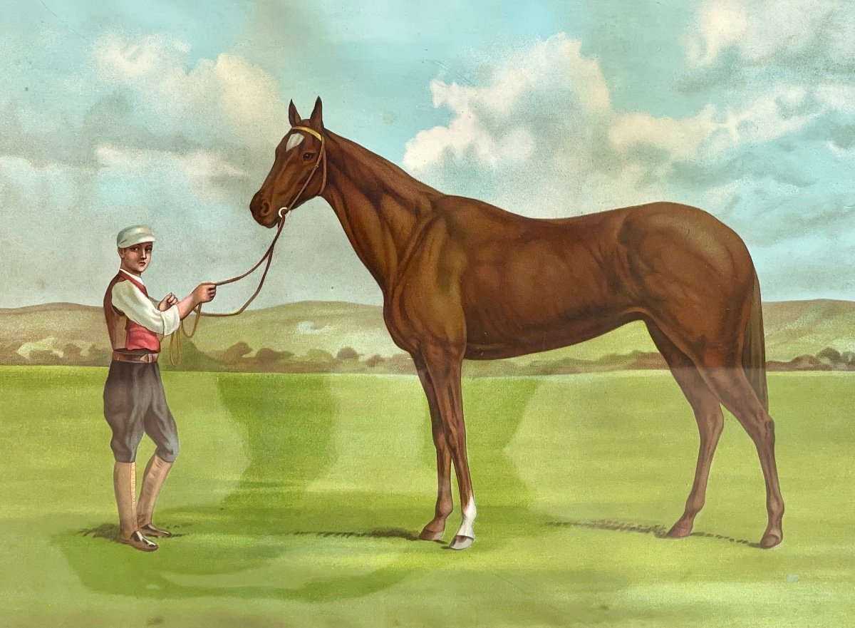 Apollinaris - Engraving, Jokey And His Horse-photo-1