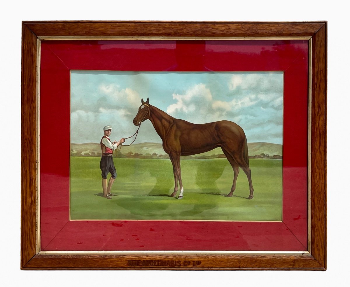 Apollinaris - Engraving, Jokey And His Horse