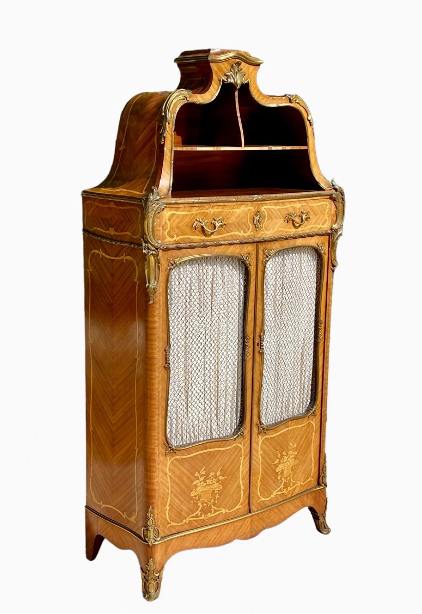 Théodore MILLET - Cabinet Cartonnier Vitrine Style Louis XV-photo-1