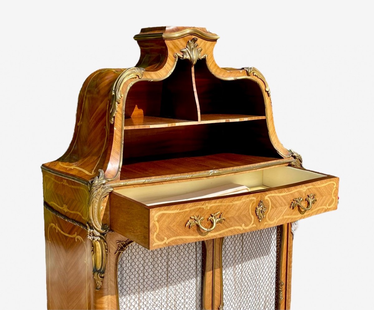 Théodore MILLET - Cabinet Cartonnier Vitrine Style Louis XV-photo-2