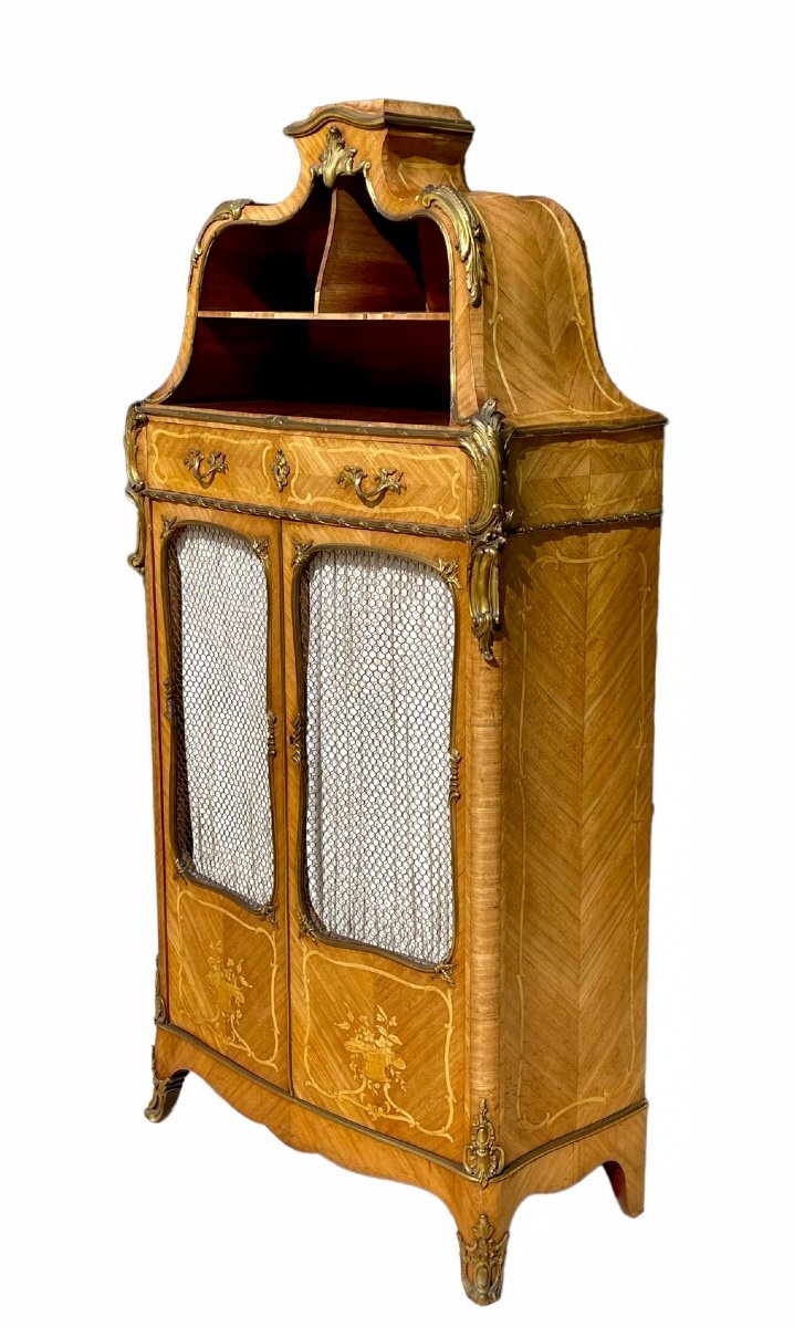 Théodore MILLET - Cabinet Cartonnier Vitrine Style Louis XV-photo-5