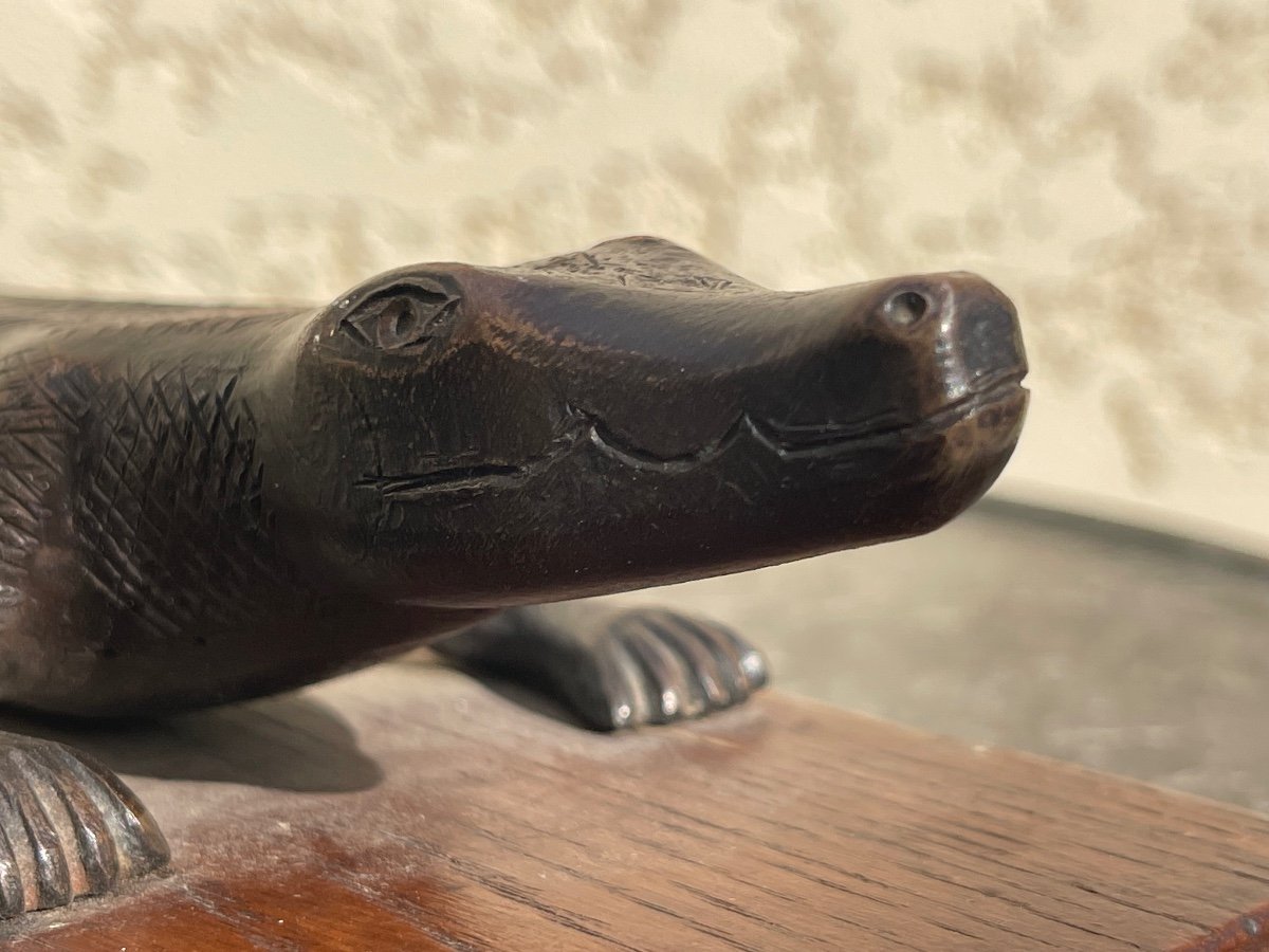 Bronze, Crocodile -photo-3