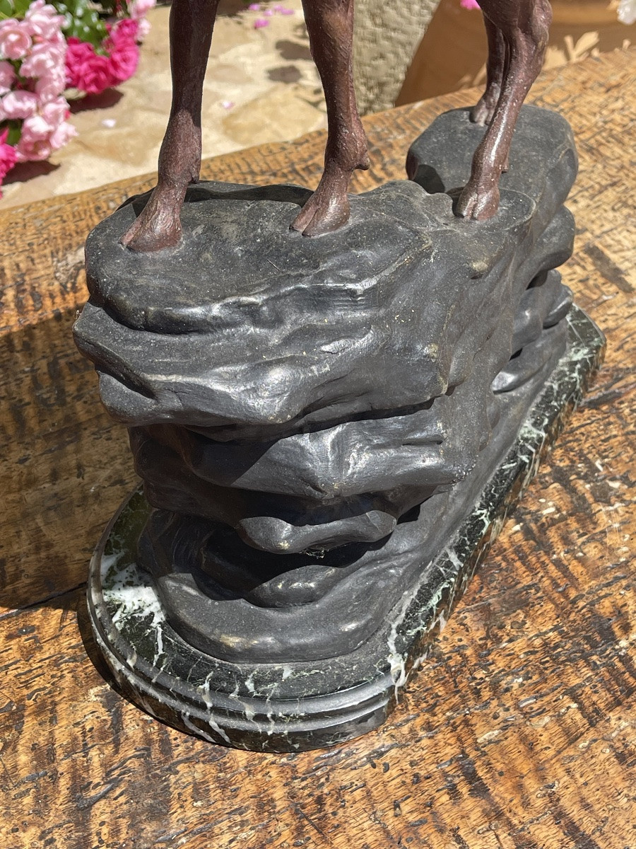 Louis CARVIN - Bronze, Cerf - H 66cm-photo-5