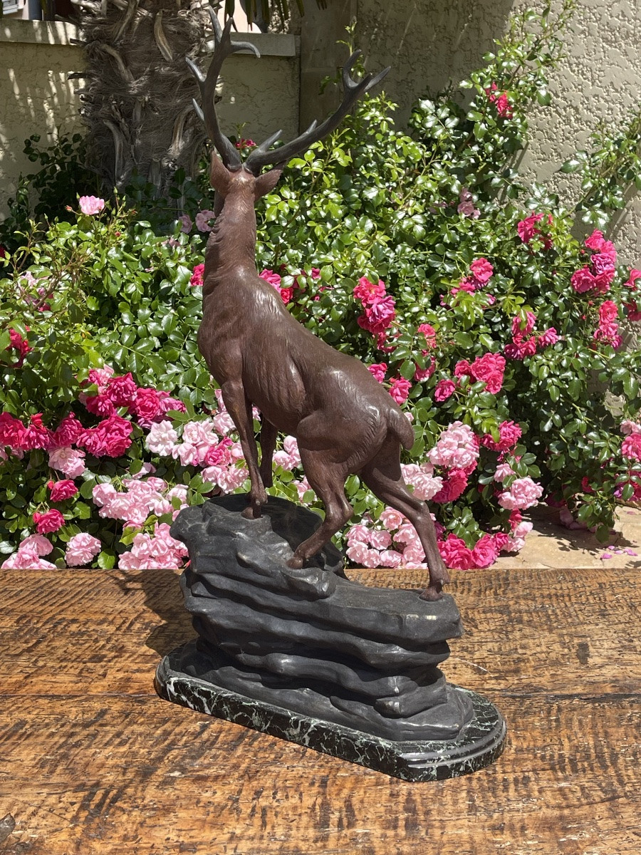 Louis CARVIN - Bronze, Cerf - H 66cm-photo-6
