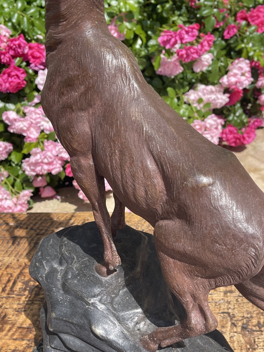 Louis CARVIN - Bronze, Cerf - H 66cm-photo-7