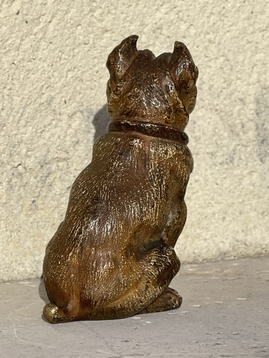 Rare Vienna Bronze, Seated Bulldog-photo-1