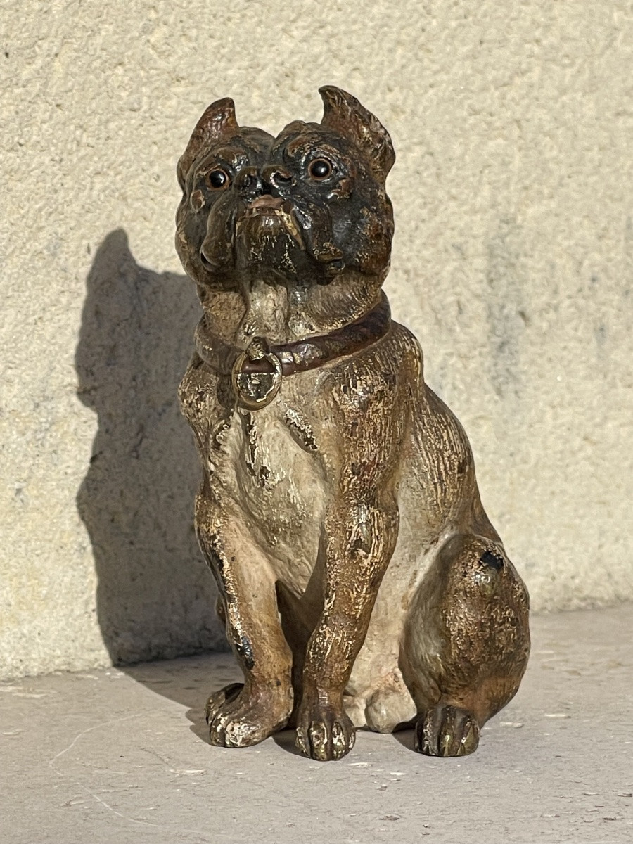 Rare Vienna Bronze, Seated Bulldog-photo-3