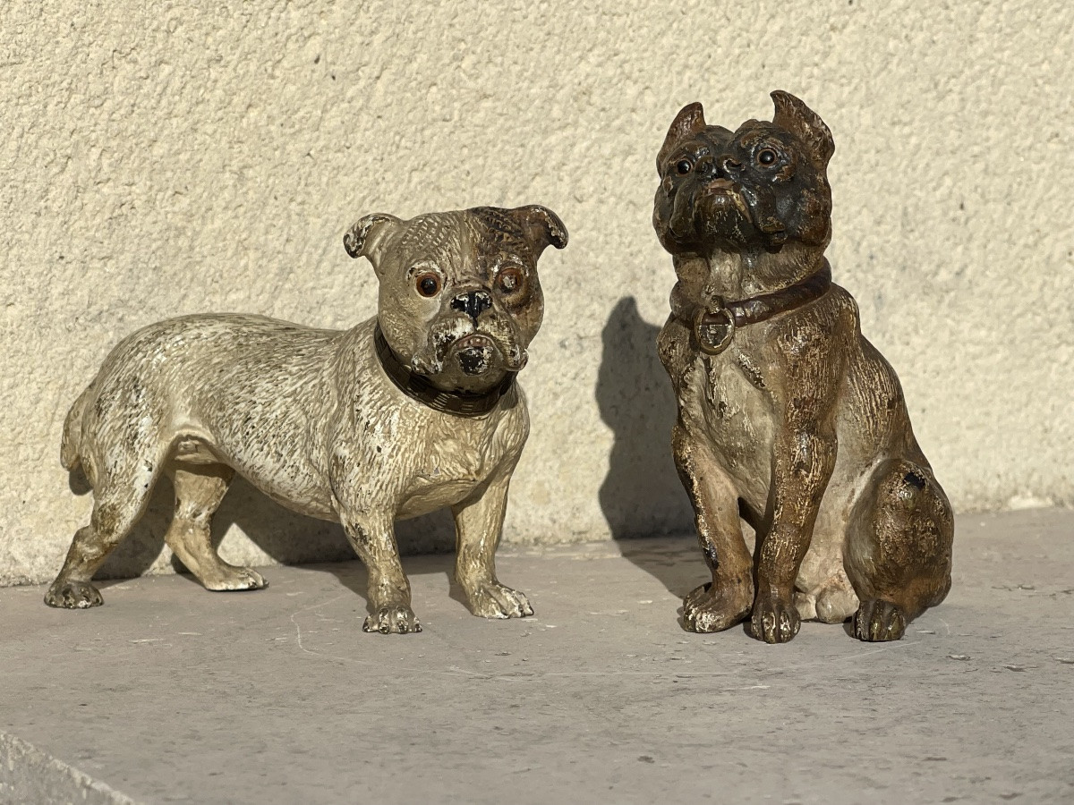 Rare Vienna Bronze, Seated Bulldog-photo-5