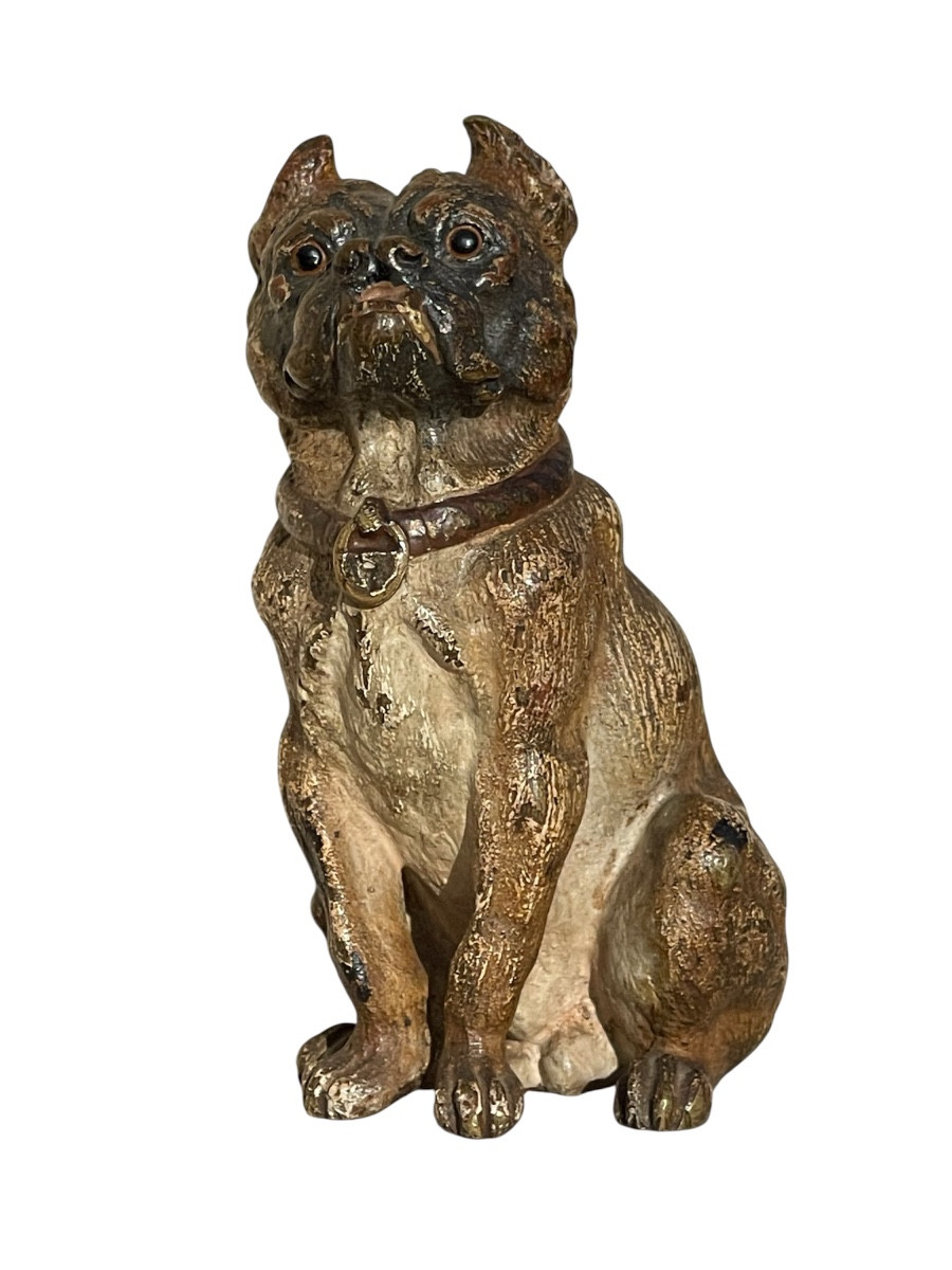 Rare Vienna Bronze, Seated Bulldog