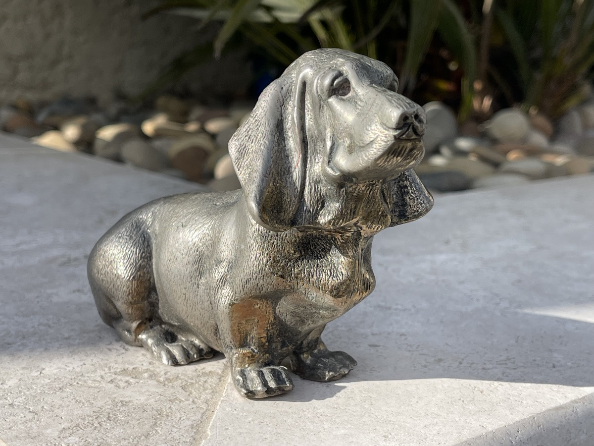 Bronze, Basset Hound-photo-2