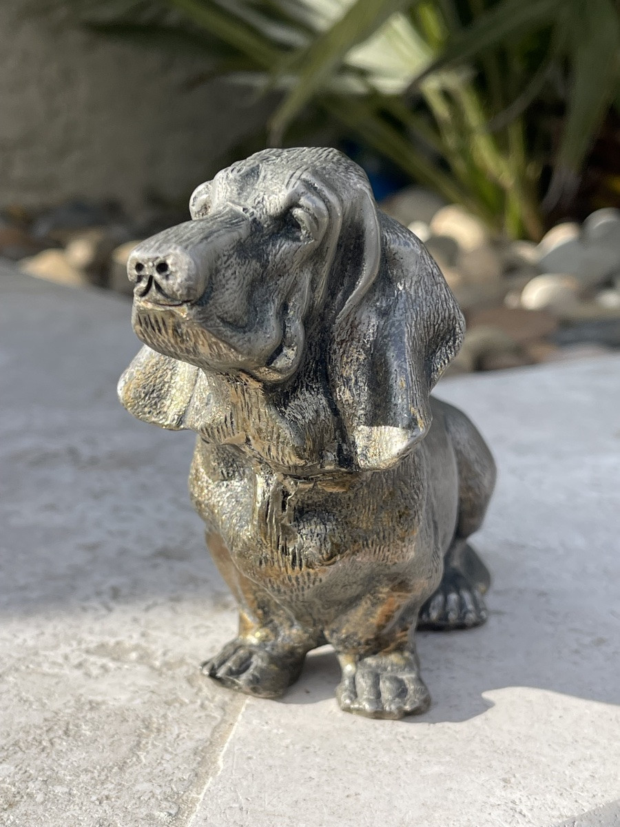 Bronze, Basset Hound-photo-3