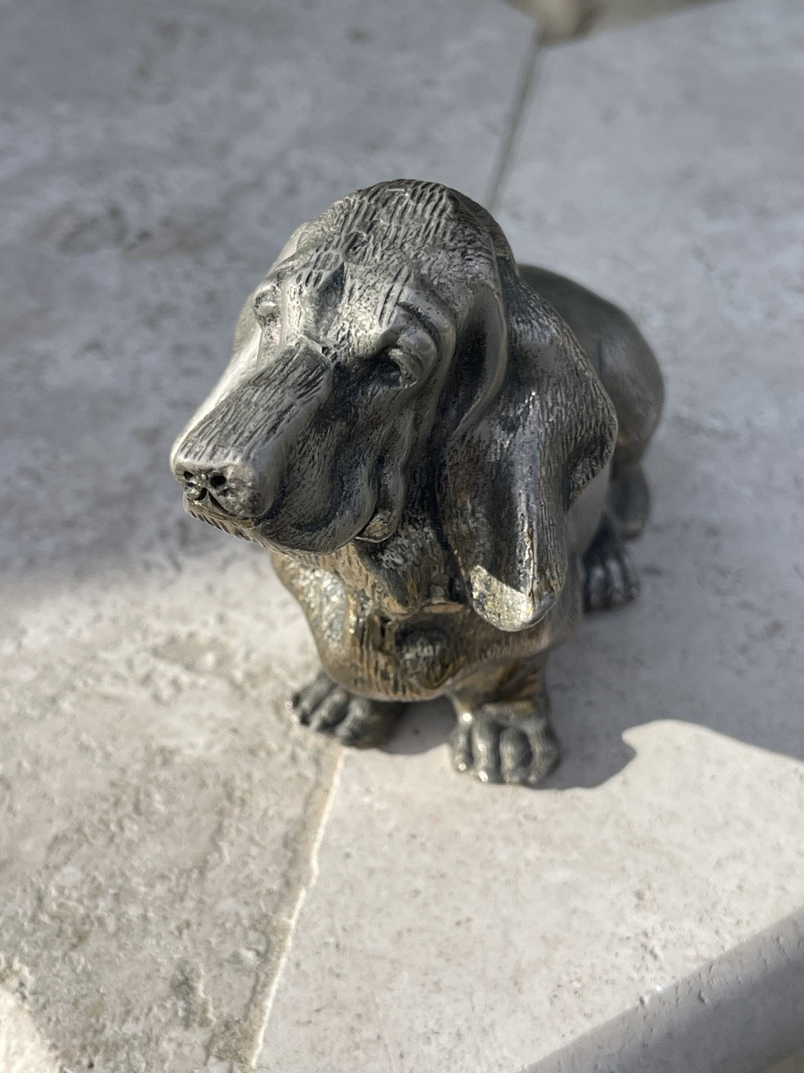 Bronze, Basset Hound-photo-4