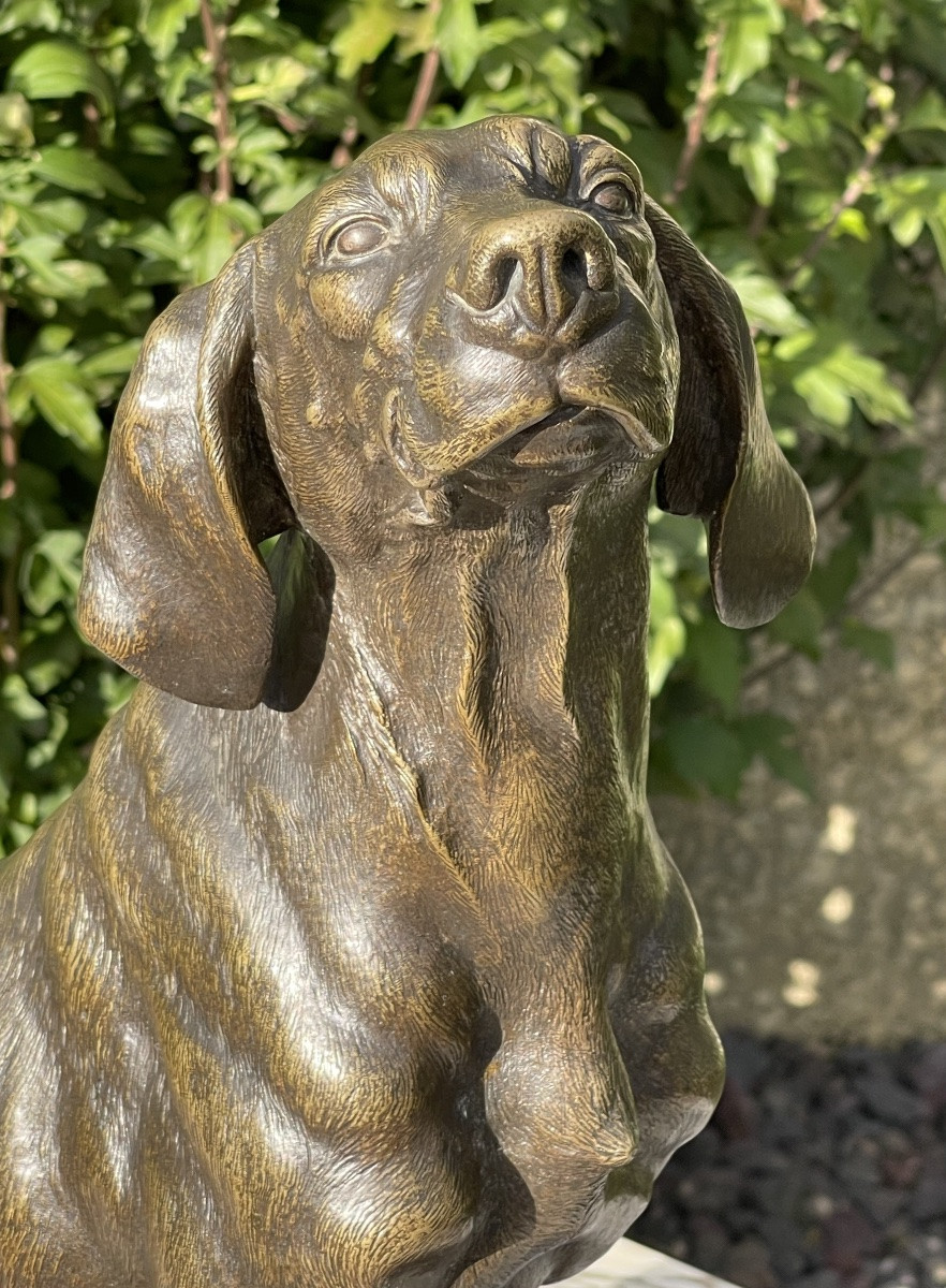 Ferdinand Pautrot - Bronze, Hunting Dog-photo-2