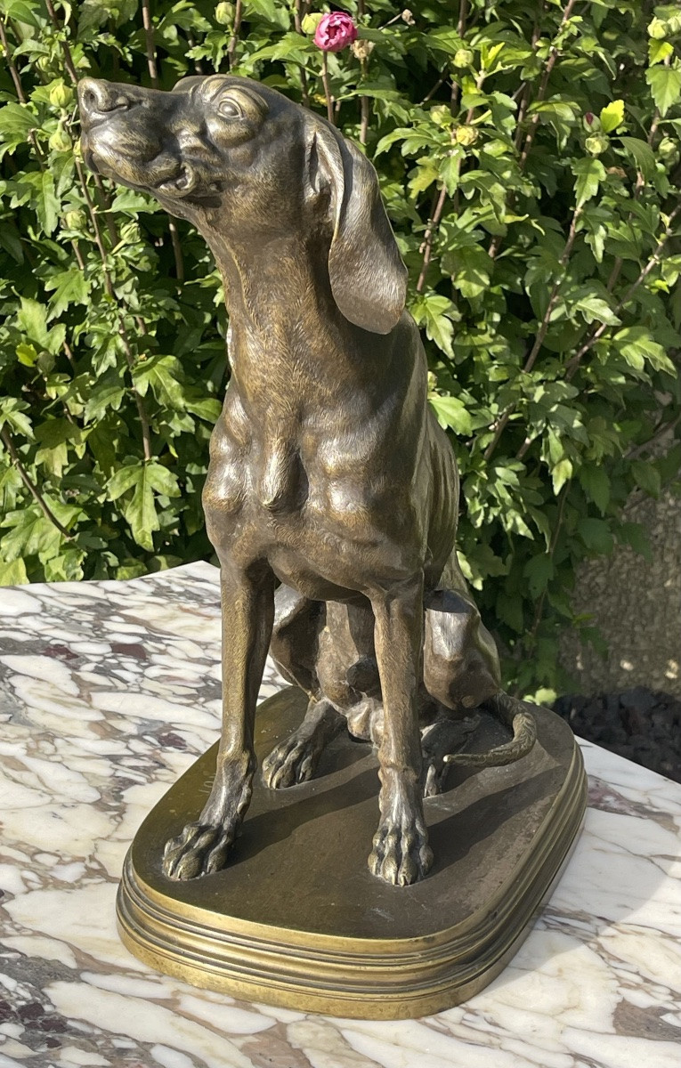 Ferdinand Pautrot - Bronze, Hunting Dog-photo-3