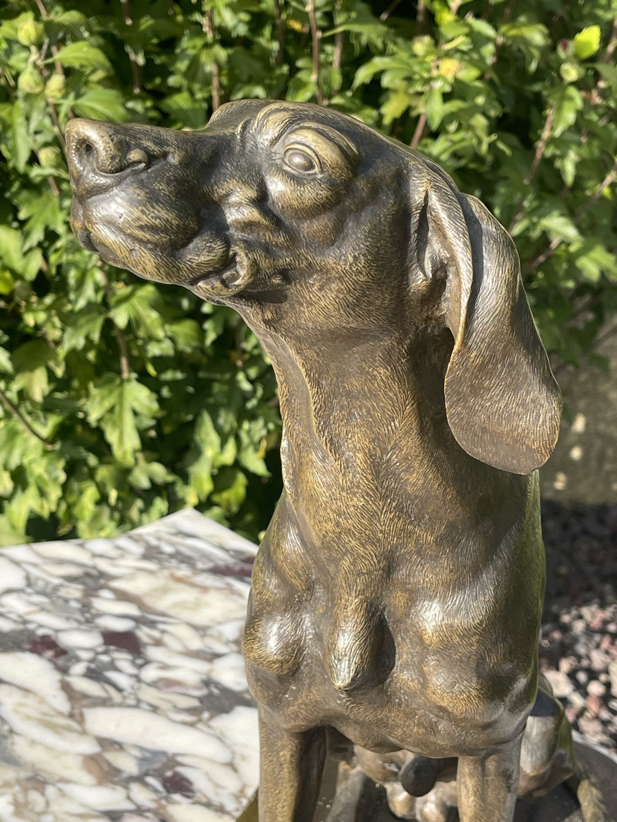Ferdinand Pautrot - Bronze, Hunting Dog-photo-4