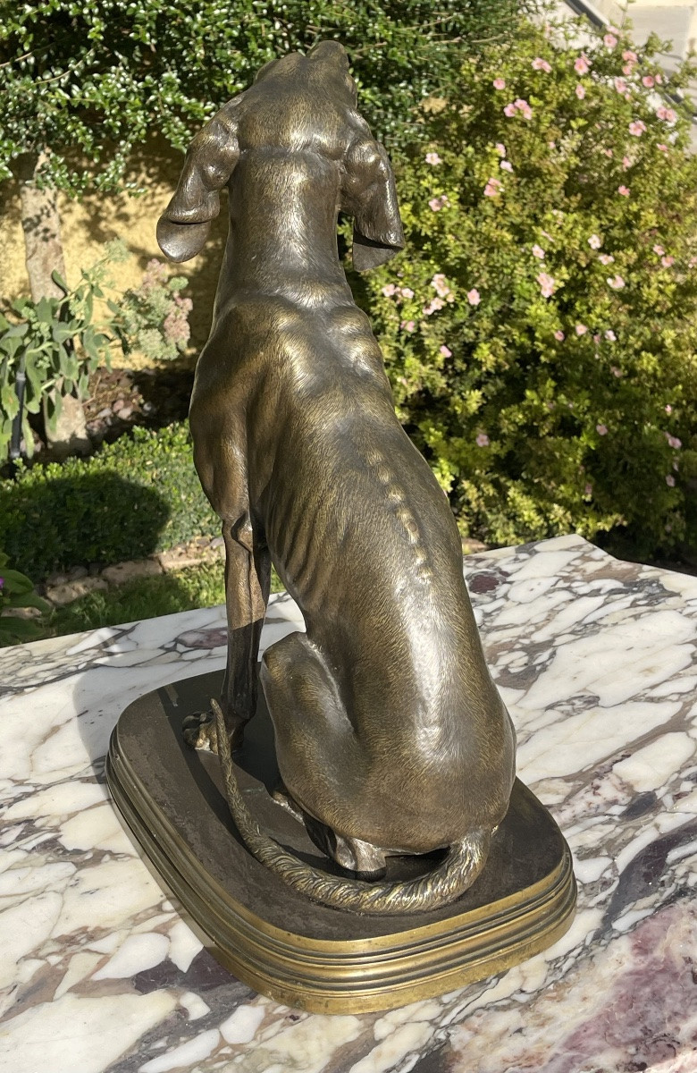 Ferdinand Pautrot - Bronze, Hunting Dog-photo-4