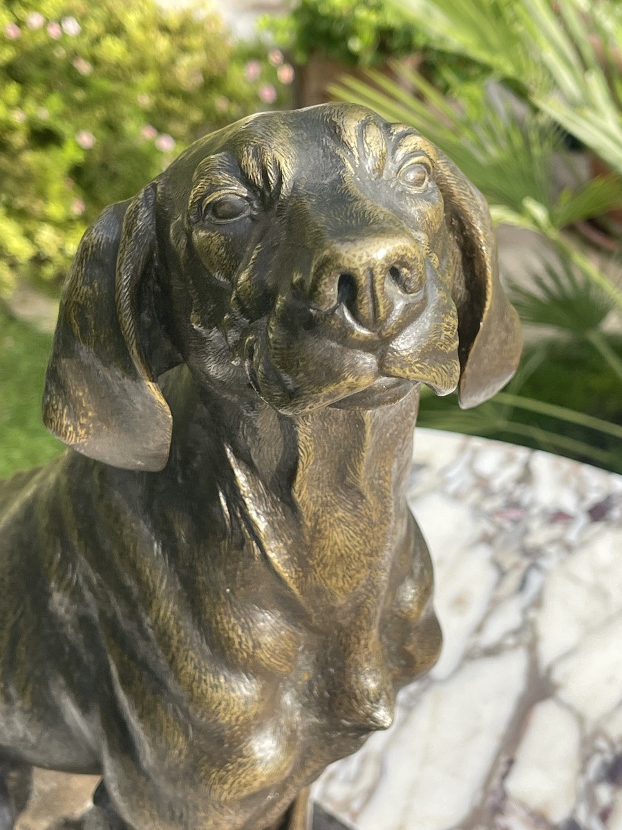 Ferdinand Pautrot - Bronze, Hunting Dog-photo-6