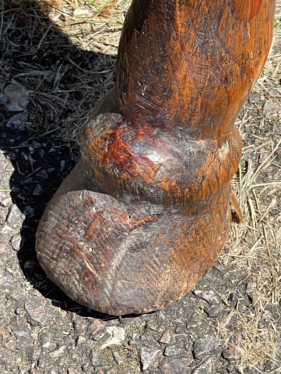 Wooden Horse-photo-4