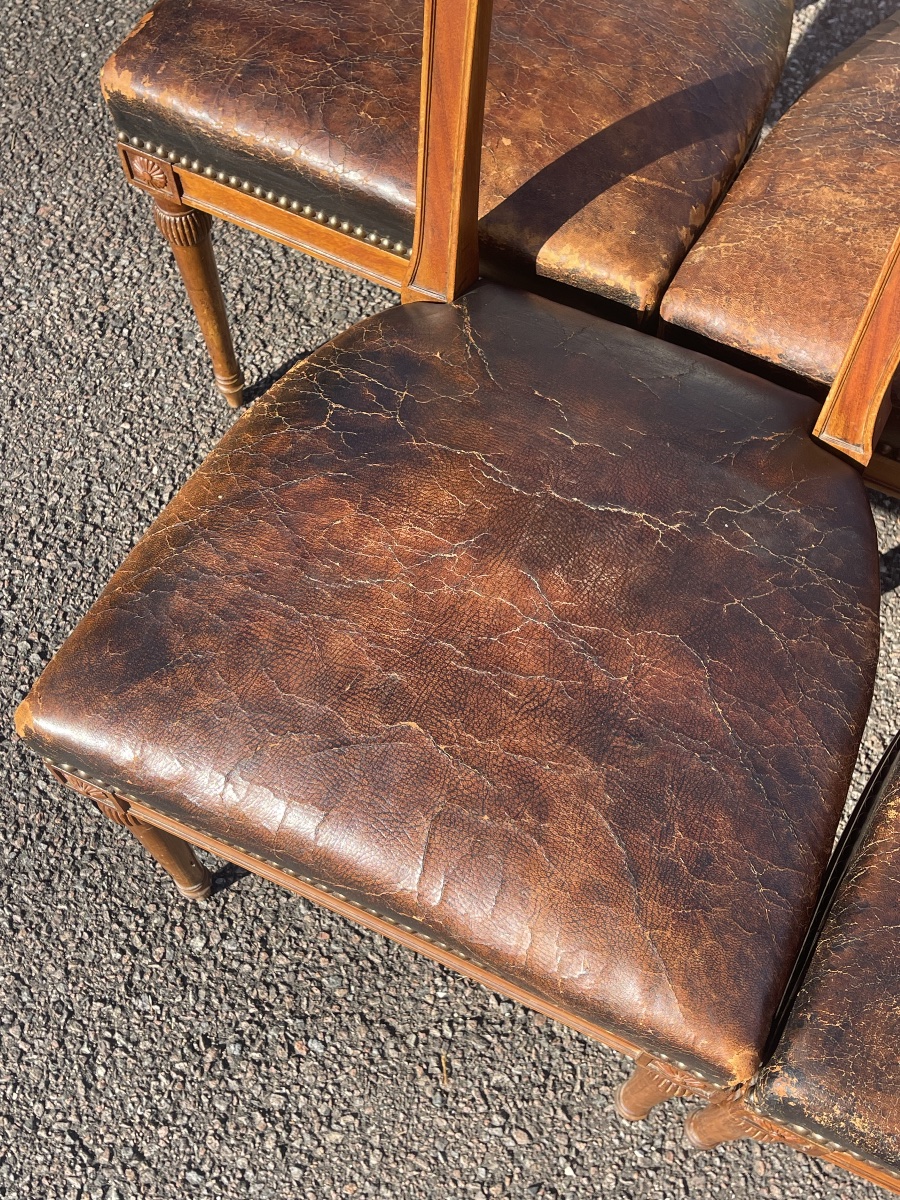 6 Mahogany Chairs -photo-1