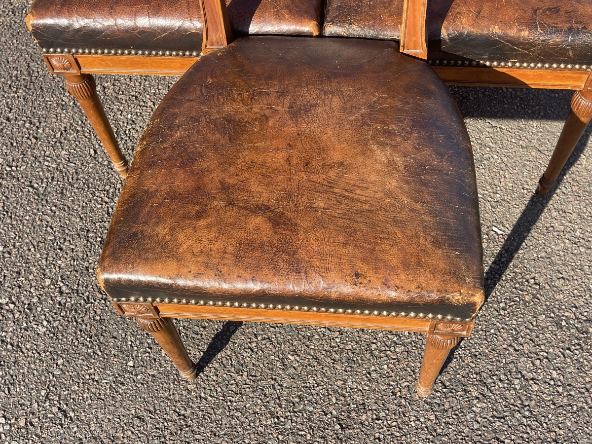 6 Mahogany Chairs -photo-3