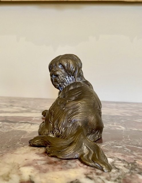 Chien en Bronze, Terrier Tibétain -photo-1