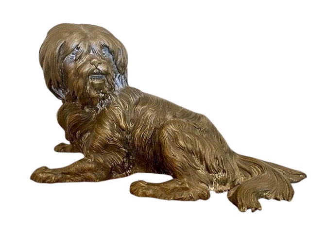 Chien en Bronze, Terrier Tibétain 