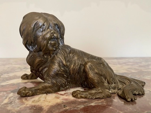 Petit Chien en Bronze - XIXe-photo-2