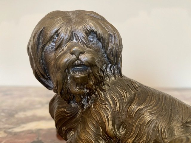 Petit Chien en Bronze - XIXe-photo-3