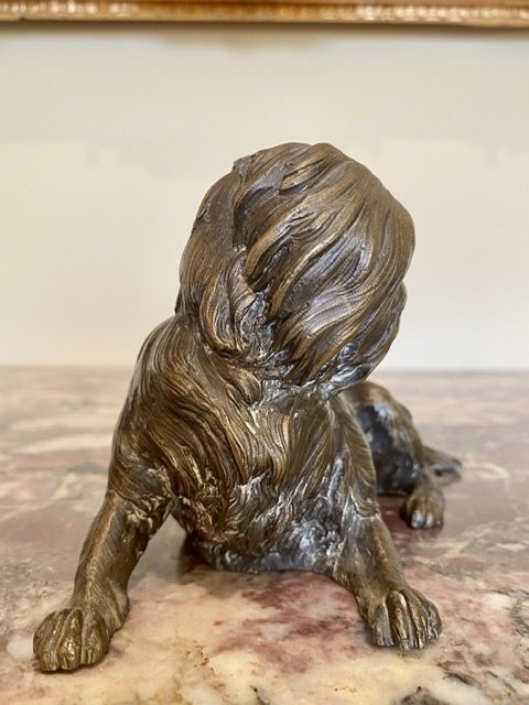 Petit Chien en Bronze - XIXe-photo-4