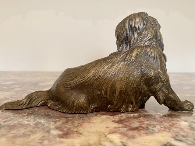 Petit Chien en Bronze - XIXe-photo-1