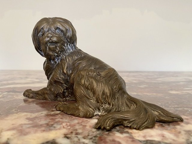 Petit Chien en Bronze - XIXe-photo-2