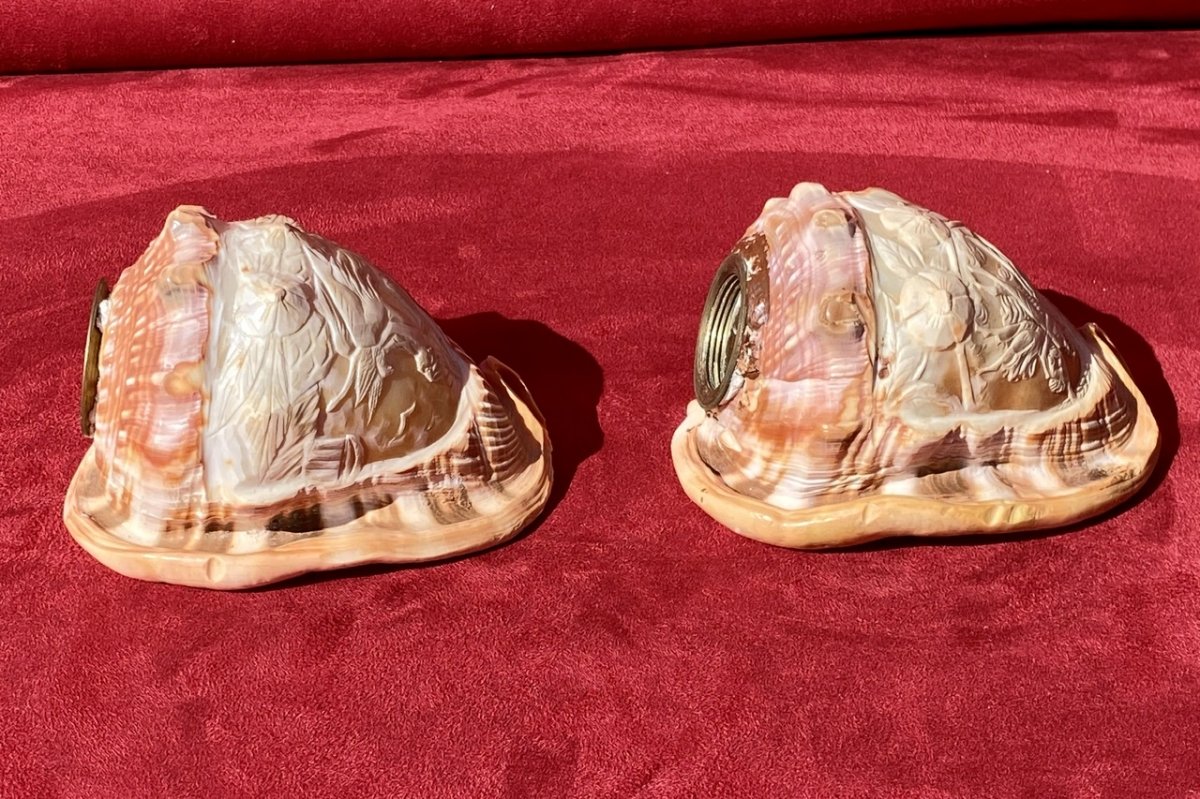 Pair Of Shells Carved In Cameos Forming Lamp Shades-photo-2