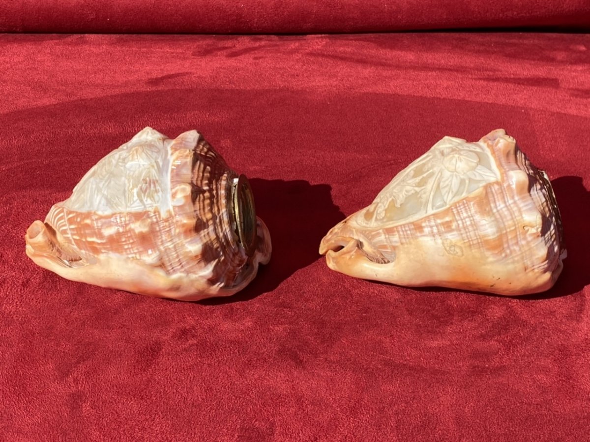 Pair Of Shells Carved In Cameos Forming Lamp Shades-photo-4