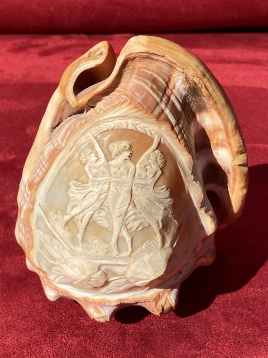 Pair Of Shells Carved In Cameos Forming Lamp Shades-photo-6