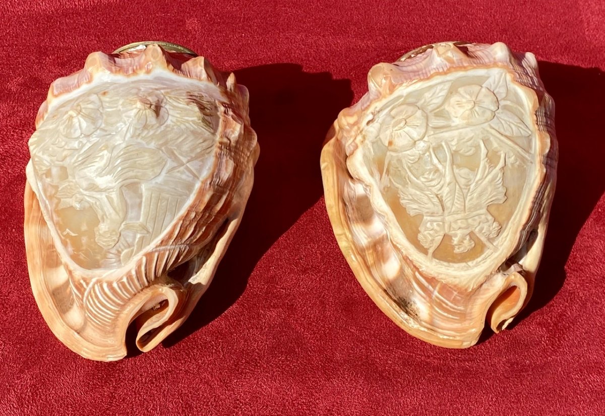 Pair Of Shells Carved In Cameos Forming Lamp Shades