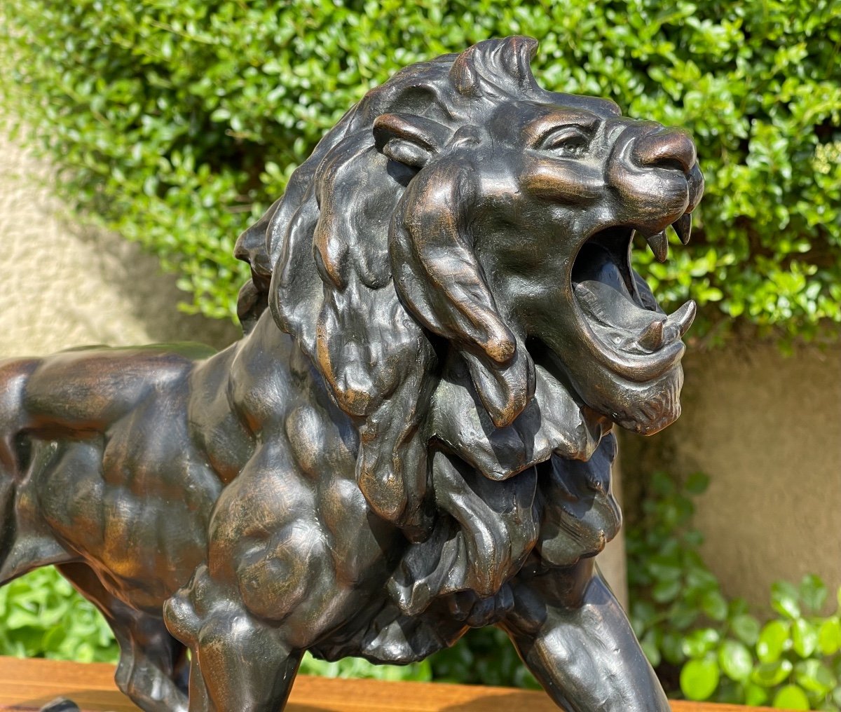 Bronze, Roaring Lion-photo-3